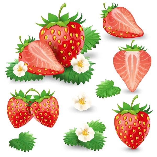 Reife Erdbeere mit Blättern und Blütenvektor-Set — Stockvektor