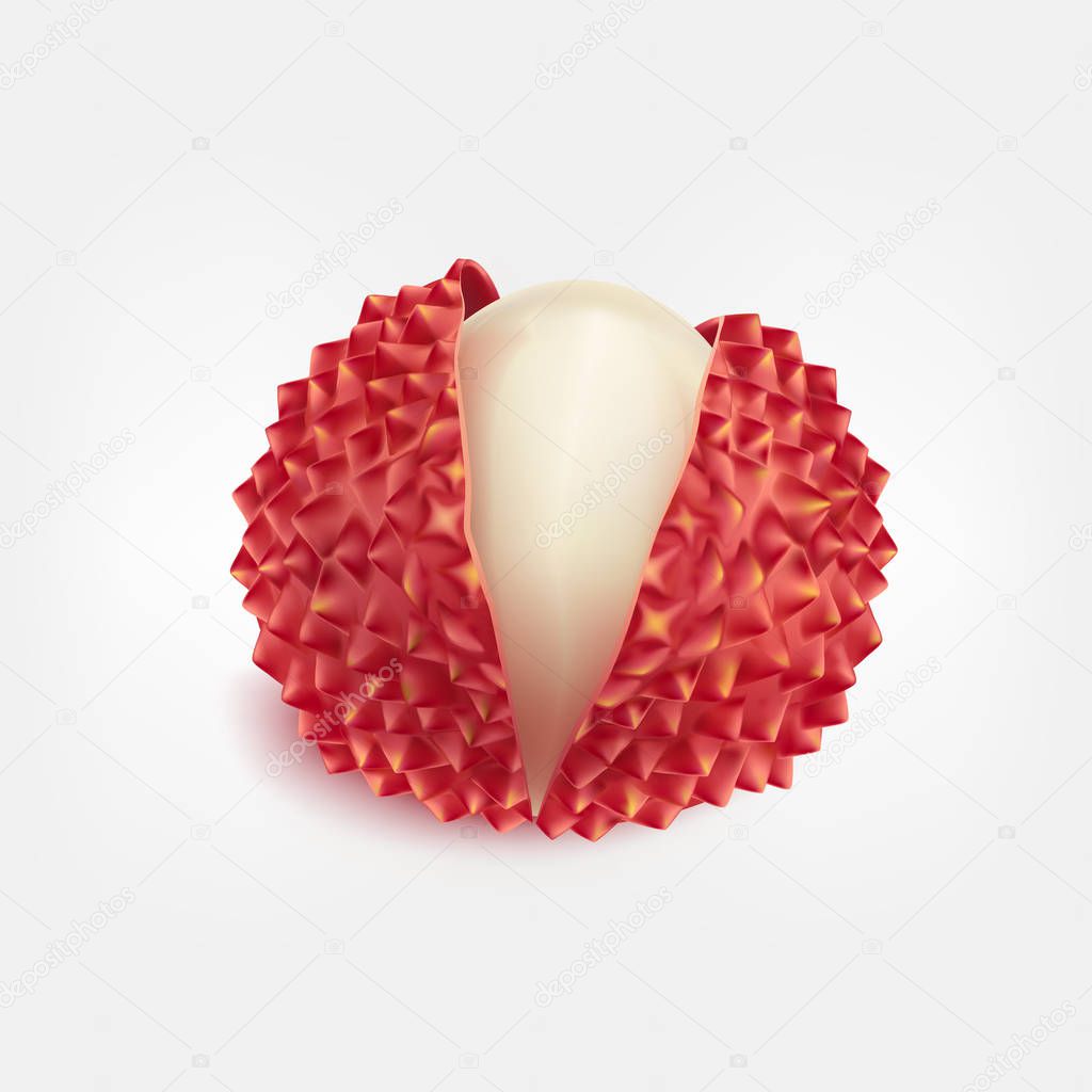 Ripe fresh litchi fruits realistic isolated vector