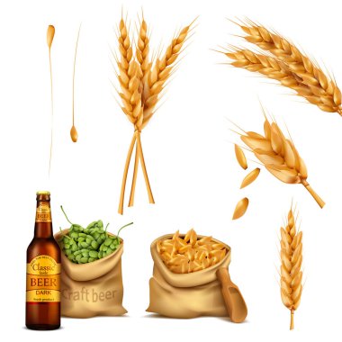 Vektör gerçekçi Icons, bira kavramı set