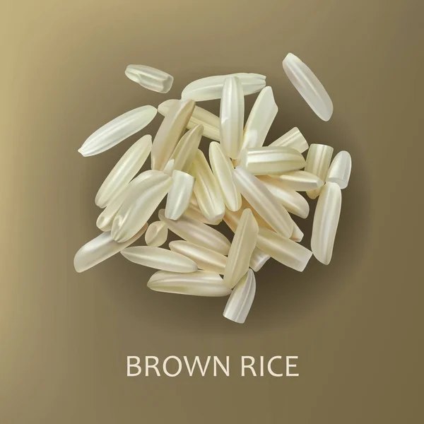 Grains of brown rice — Stock Vector