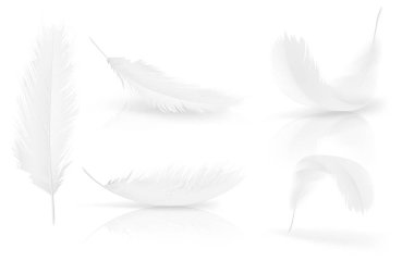 Vector realisitc 3d white bird, angel feathers set clipart