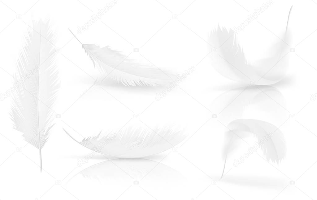 Vector realisitc 3d white bird, angel feathers set