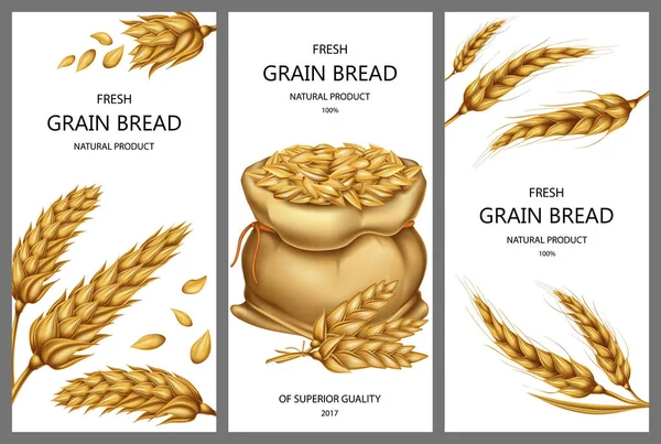 Tahıllar, buğday kulakları ile vektör gerçekçi çuval