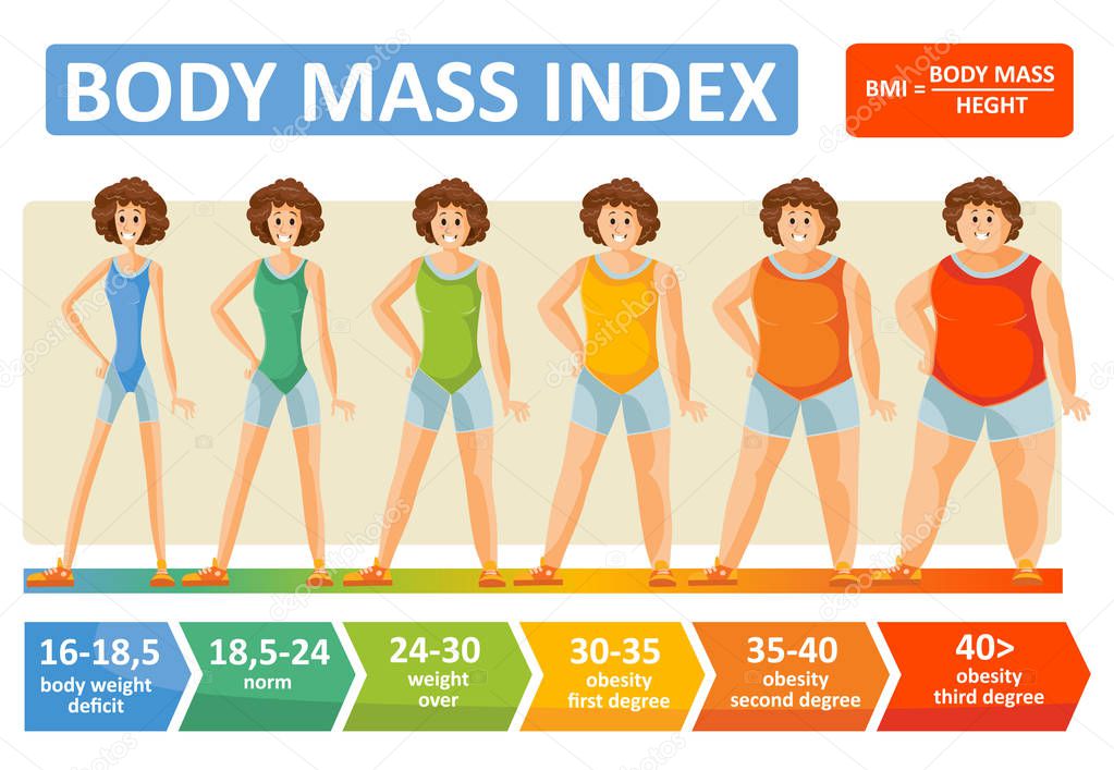 Body mass index of woman obesity weight vector infographics with age and body build type scale. BMI flat design template of female body obese degree for healthy diet and fitness concept