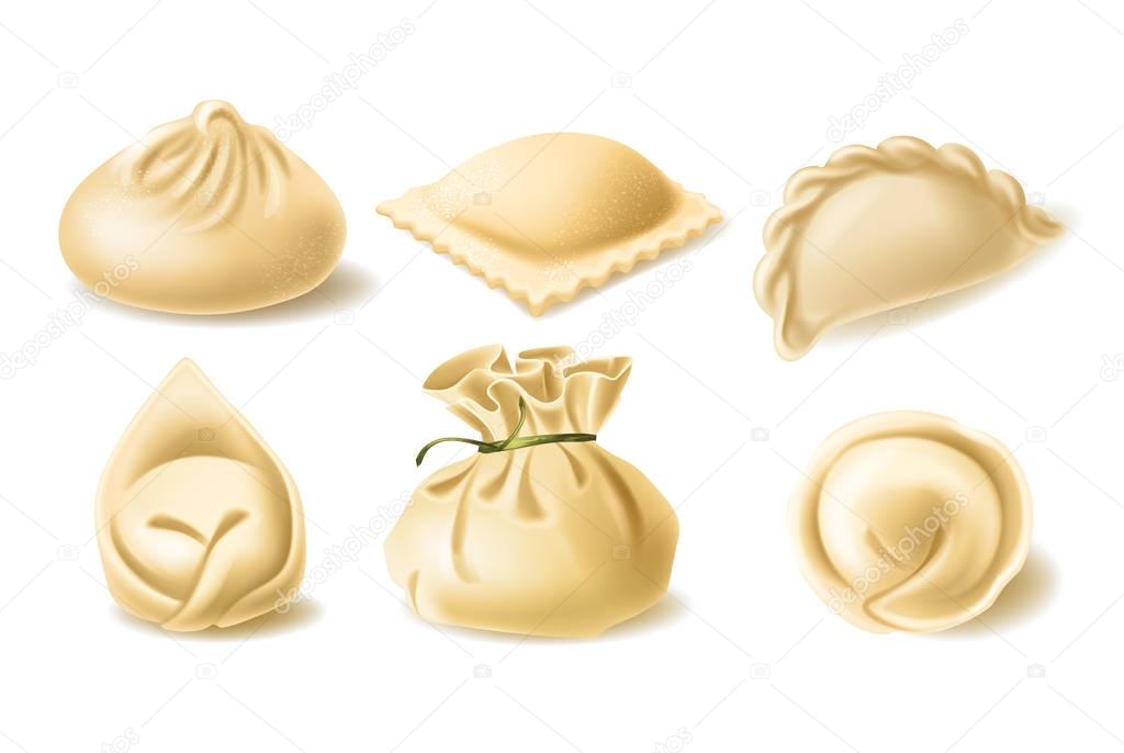 Realistic vector clipart of different dumplings