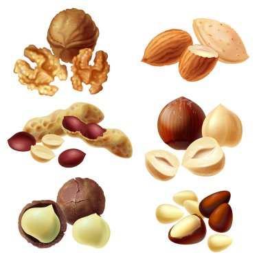 Vector 3d realistic set of various nuts clipart