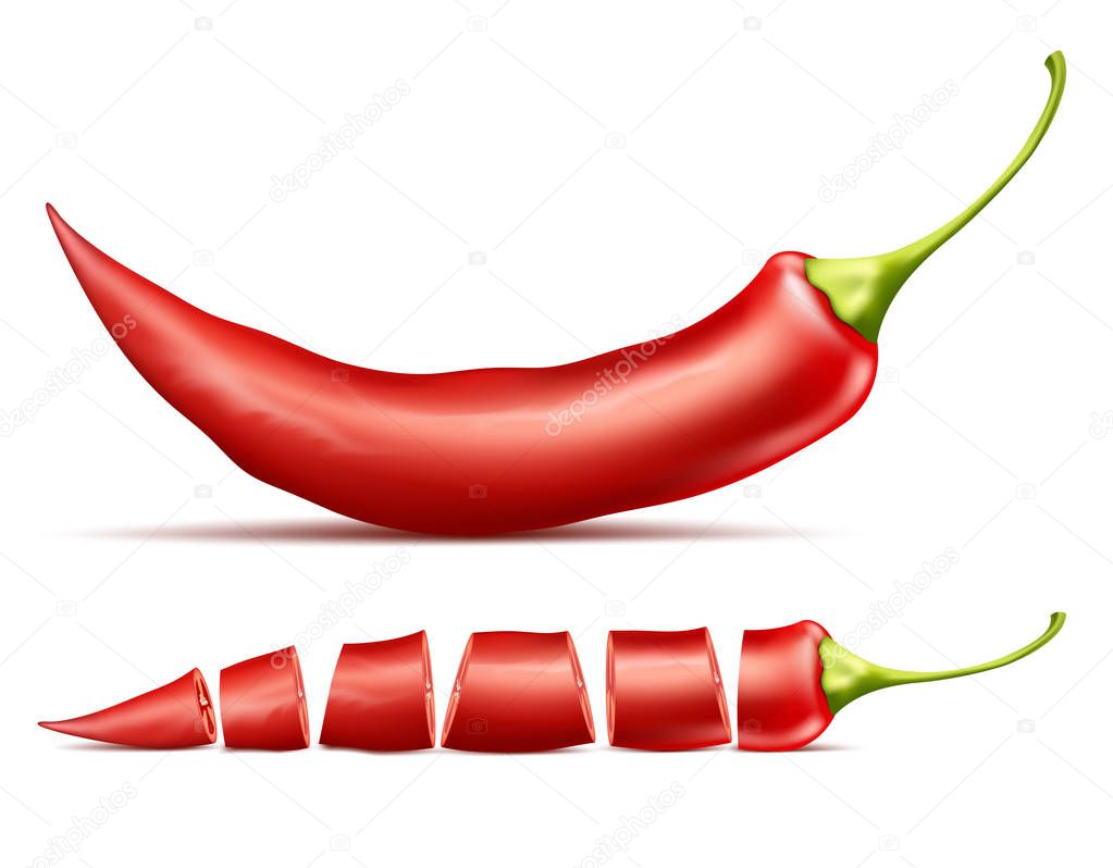 Vector realistic red pod of hot chili pepper