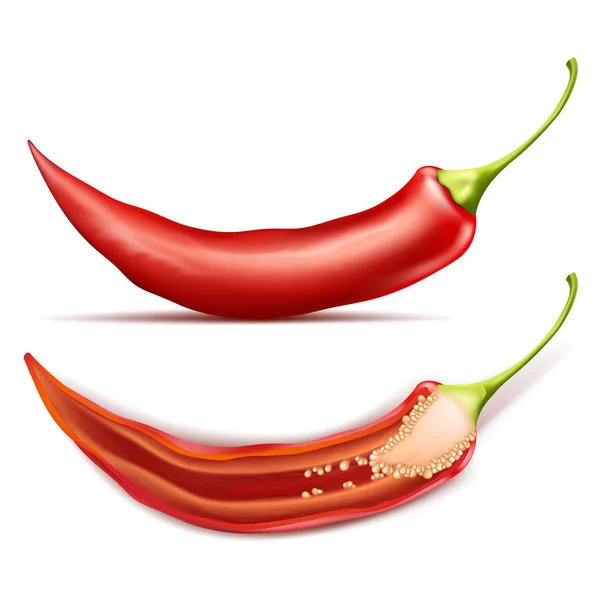 Vektör gerçekçi kırmızı pod hot chili biber — Stok Vektör
