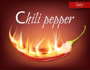 Chili biber alev gerçekçi yarım pod vektör