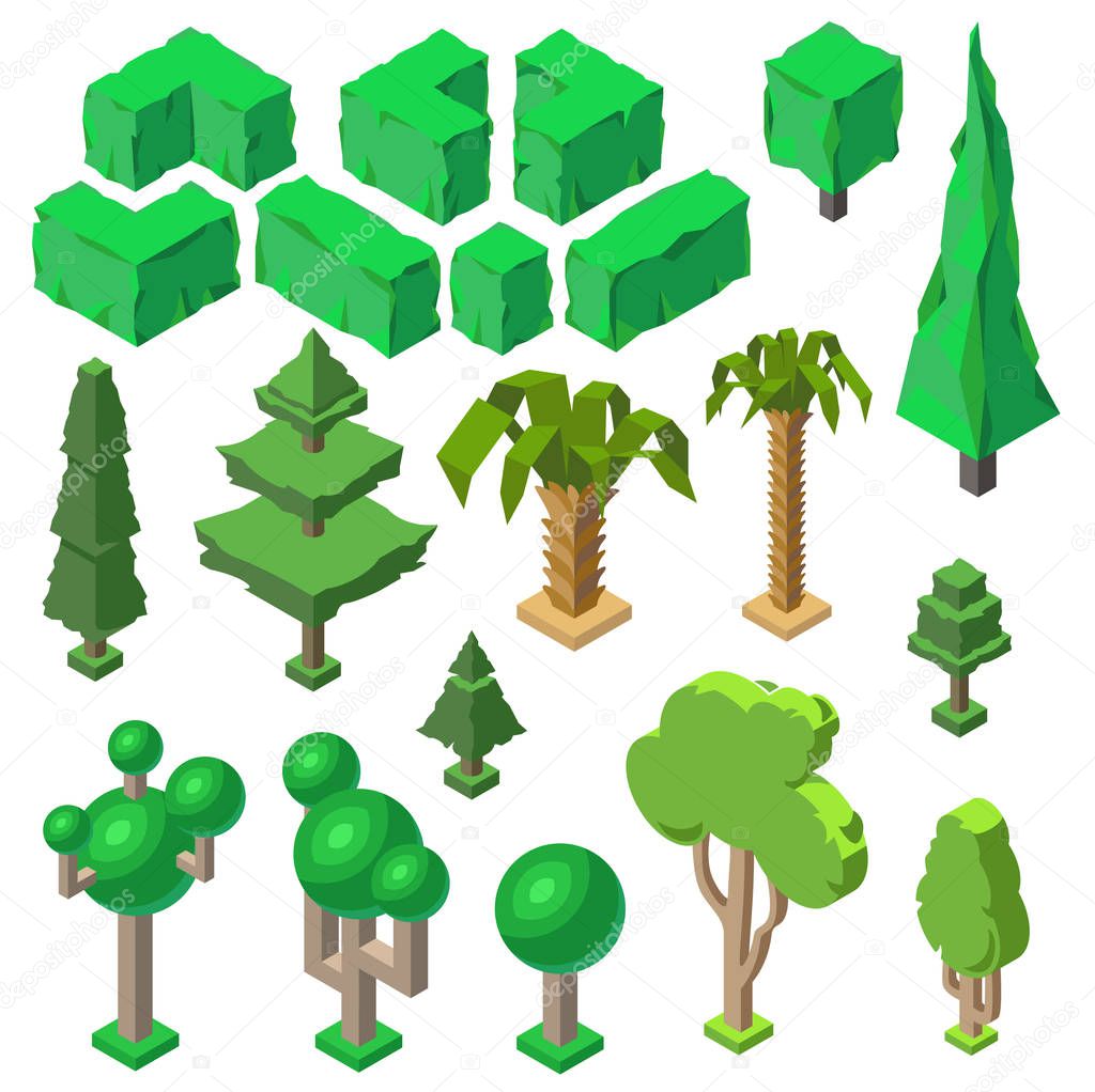 Vector 3d isometric plants, trees, bushes, palms