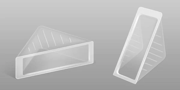 Трикутник прозорий пластиковий пакет для бутерброду, сиру — стоковий вектор