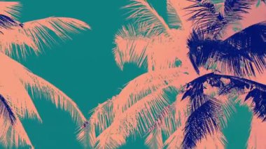 Palmiye ağacı siluetler renkli arka plan döngü