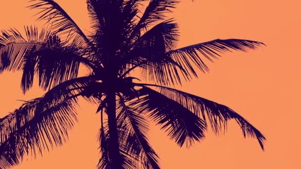 Formas de palmera artística sobre fondo naranja — Vídeos de Stock