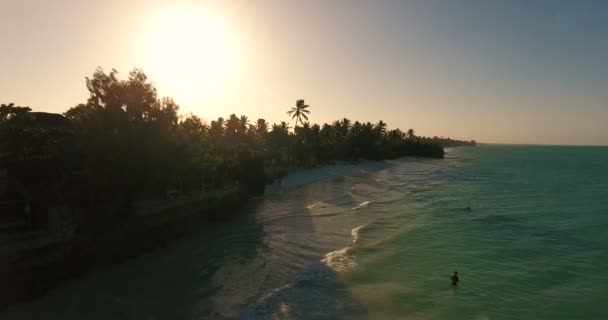 Exotic African Coastline at Sunset — Stock Video