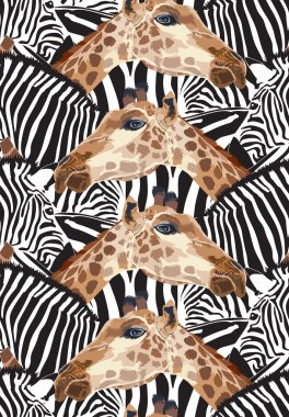 Zebra ve zürafa ile Seamless Modeli. 