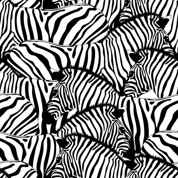 Zebra Kusursuz Deseni.