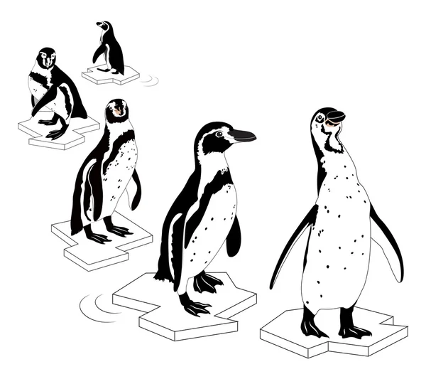 Tučňák na ledě osnovy. — Stockový vektor