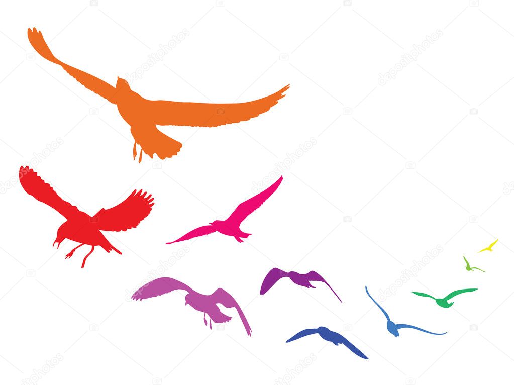 Colorful silhouettes of flying seagulls, 