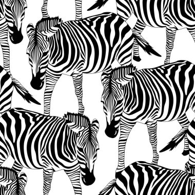 Zebra Kusursuz Deseni. 