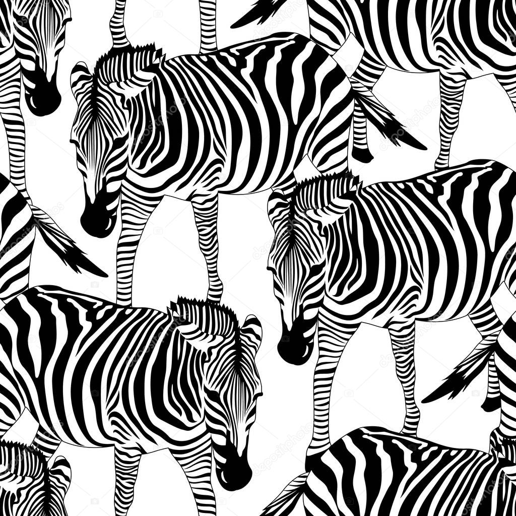 Zebra seamless pattern. 