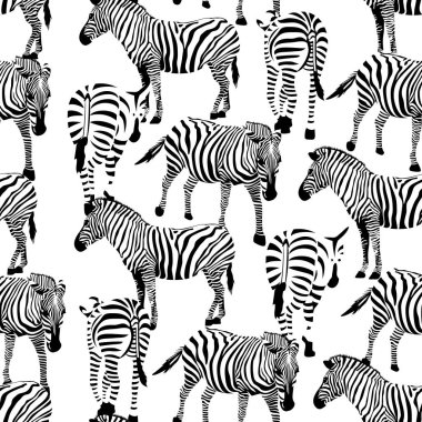 Zebra Kusursuz Deseni.