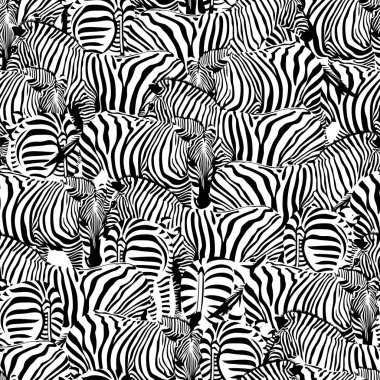 Zebra Kusursuz Deseni.