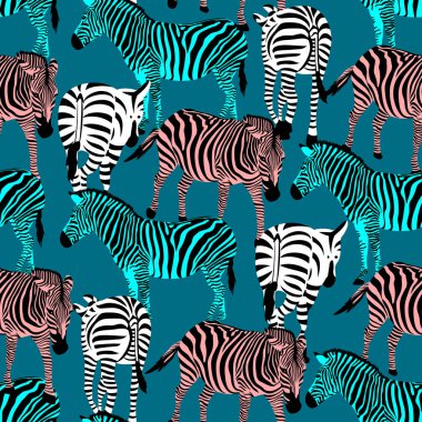 Renkli zebra seamless modeli. 