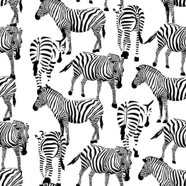 Wzór bezszwowy Zebra. — Wektor stockowy
