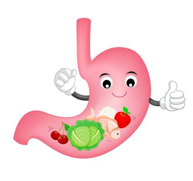 Sevimli çizgi film mide karakteri.