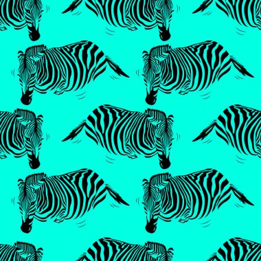 Zebra seamless modeli mavi zemin üzerine. 