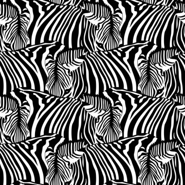 Zebra Kusursuz Deseni.