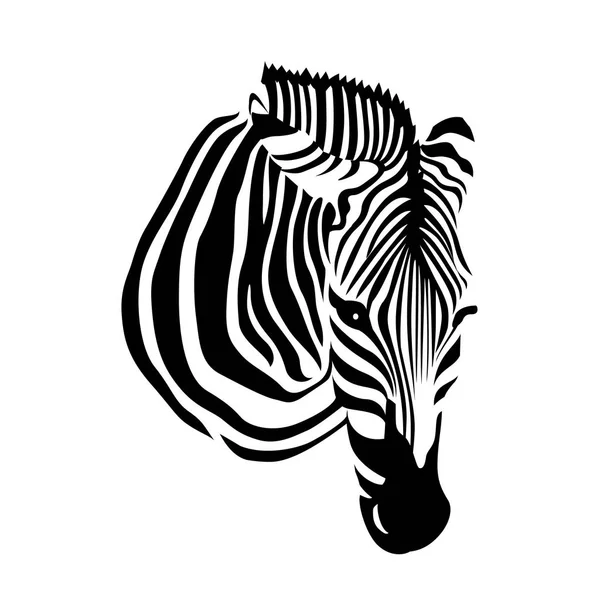 Testa di zebra su sfondo bianco . — Vettoriale Stock