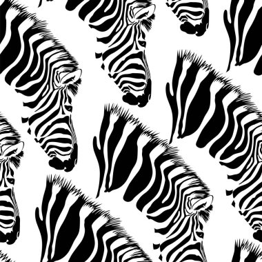 Zebra Kusursuz Deseni.