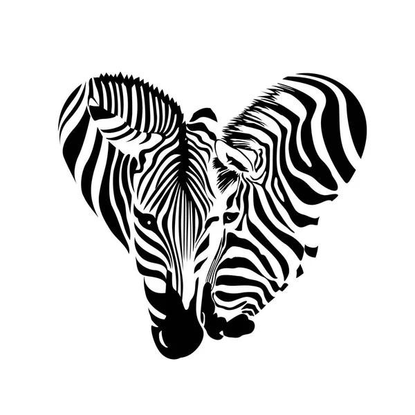 Paar zebra hoofd in hart vorm. — Stockvector