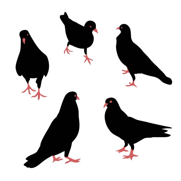 Ensemble silhouette oiseaux . — Image vectorielle
