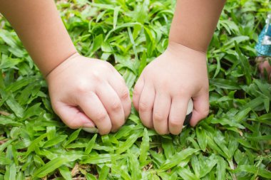 Çocuklar el çimenlerin üzerinde. 