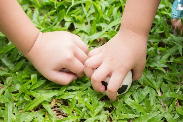 Le mani di bambini su erba . — Foto Stock