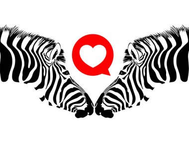 Zebra çift kalp ile. Vahşi hayvan doku. 