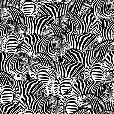 Zebra seamless modeli. Vahşi hayvan doku.