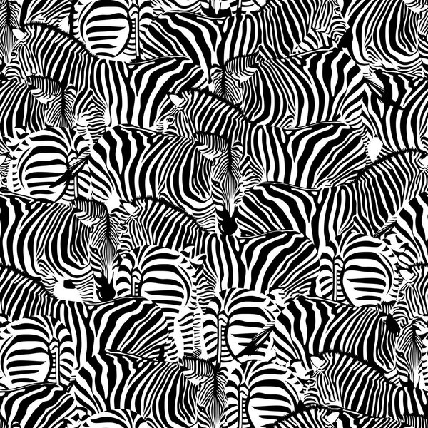 Zebra seamless pattern. Wild animal texture.