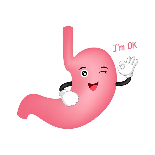 Mignon personnage de dessin animé estomac montrant OK signe de la main . — Image vectorielle