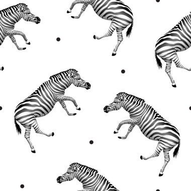 Zebra seamless modeli dans.  