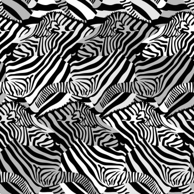 Zebra Kusursuz Deseni.
