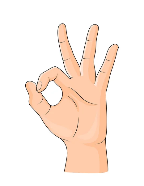 Human showing okay hand gesture. — Stock Vector