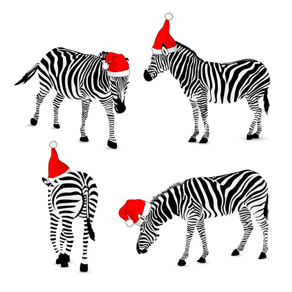 Sada Zebra Nosí Santa Hat Divokých Zvířat Texturu Proužky Černá — Stockový vektor