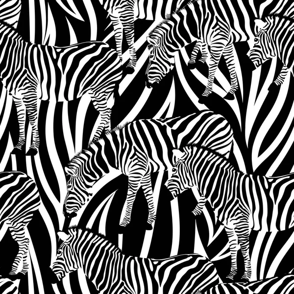 Zebra arka plan, seamless modeli üzerinde. Siyah ve beyaz, vahşi hayvan doku. Tasarım moda kumaş, vektör çizim.
