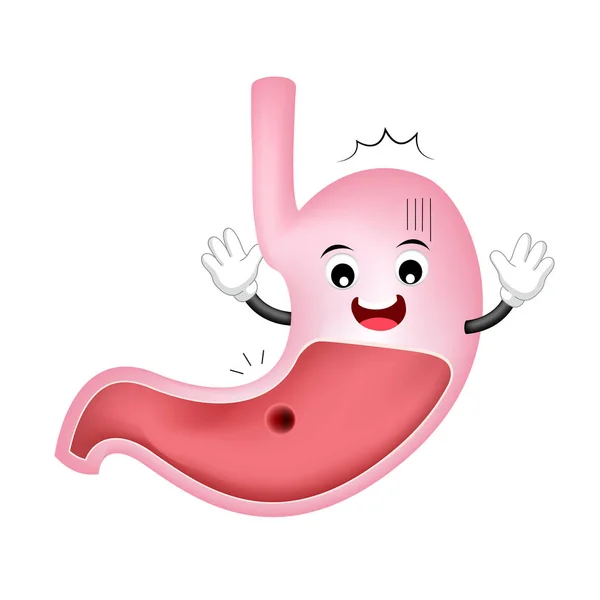 Scared Cartoon Stomach Character Peptic Ulcer Unhealthy Internal Organ Concept — Stock Vector