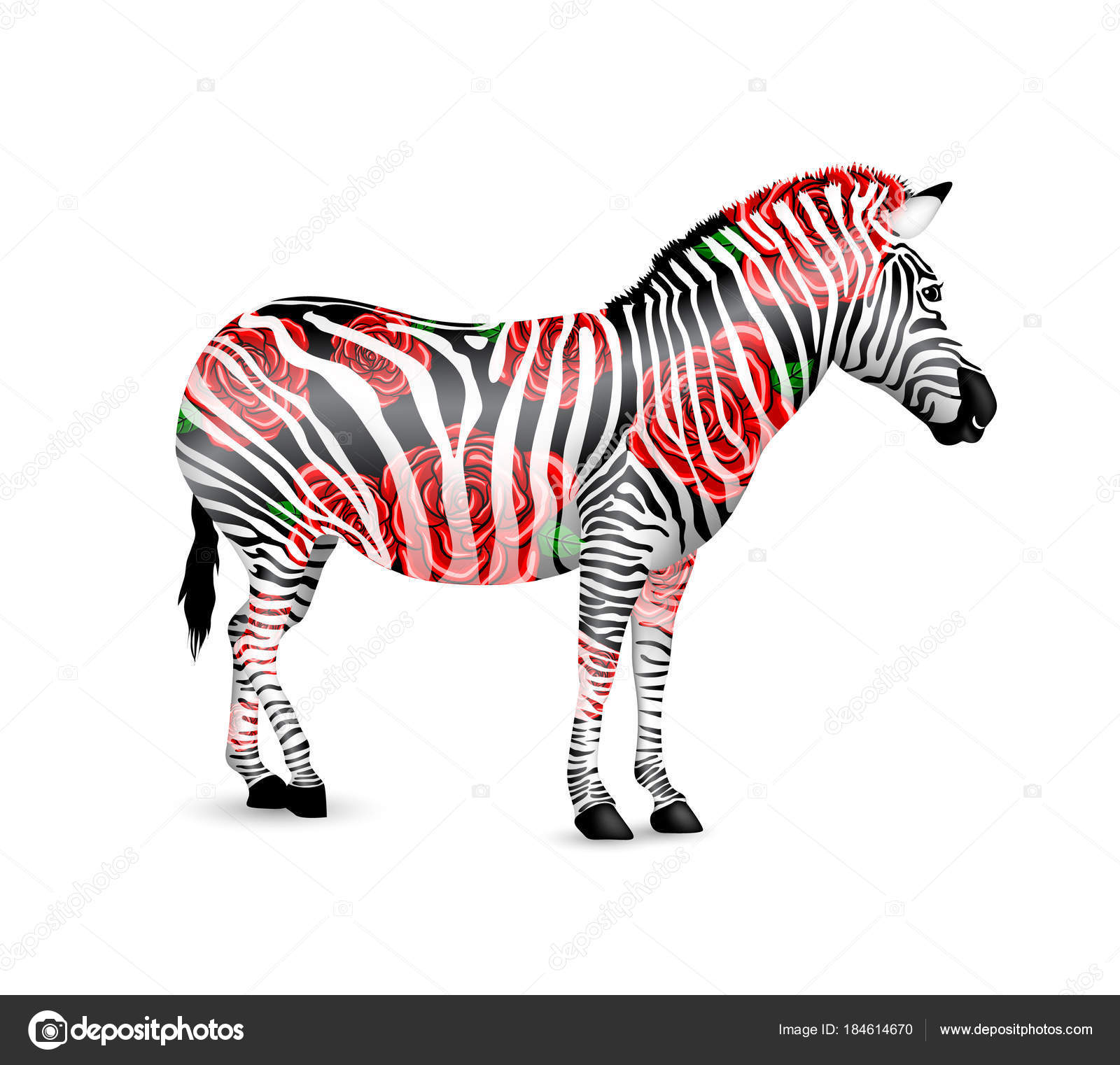Zebra Striped Black White Red Roses Zebra Walking Bend Wild Stock Vector Image by ©wowow #184614670 Zebra Striped Black White Red Roses Zebra Walking Bend Wild Stock Vector Image by ©wowow #184614670