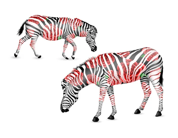 Zebra Randiga Svart Och Vitt Med Röda Rosor Zebra Promenader — Stock vektor