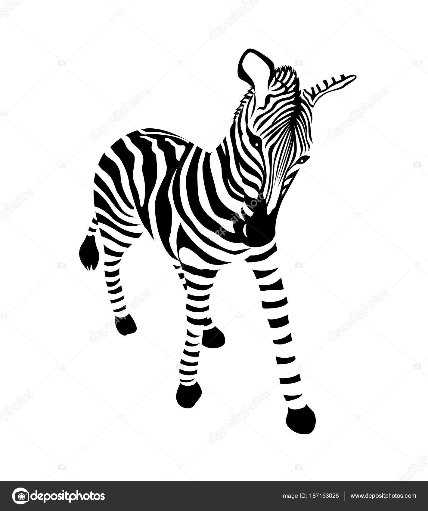 Fotos: animales salvajes para imprimir | Rayas Cebra Blanco Negro